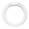CIRCULAR FLUORESCENT LIGHTBULBSXSX, Size: 8"