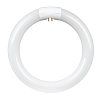 CIRCULAR FLUORESCENT LIGHTBULBSXSX, Size: 8"