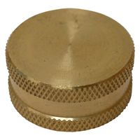 4837142 0.75 in. Hose Cap with Washer
