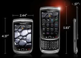 Blackberry Torch (Black)