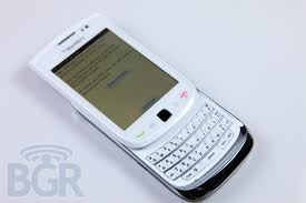 Blackberry Torch (White)