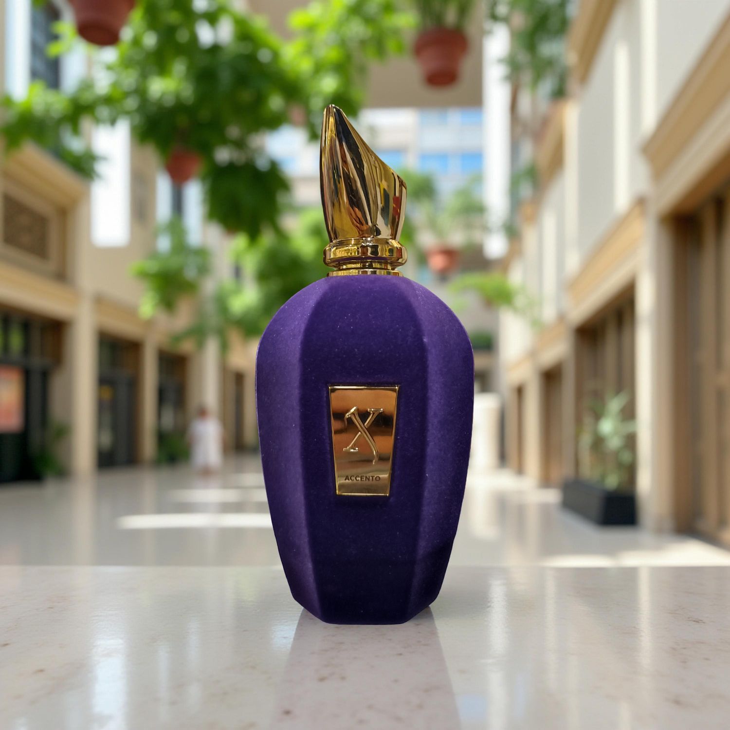 Xerjoff Accento EDP PERFUME 100 ML P 56