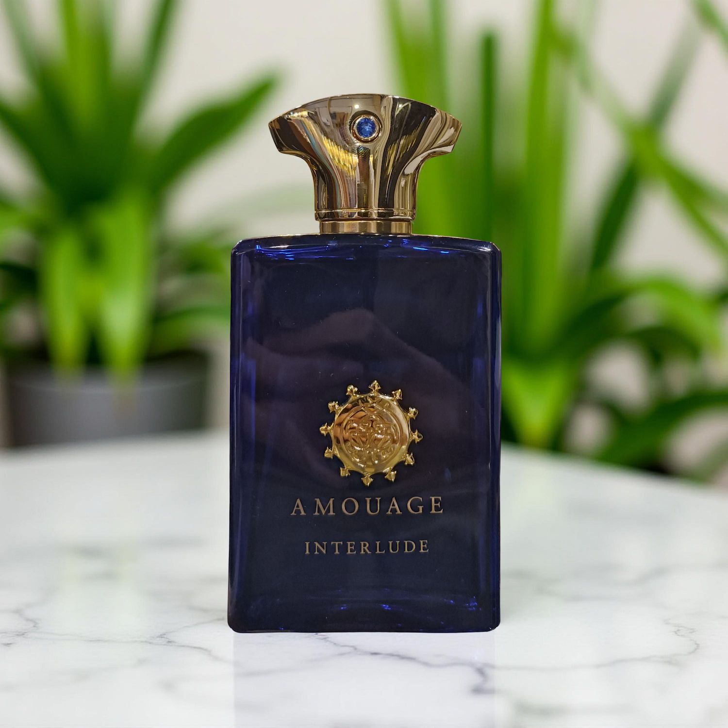 AMOUAGE INTERLUDE M EDP 100 ML   P 1