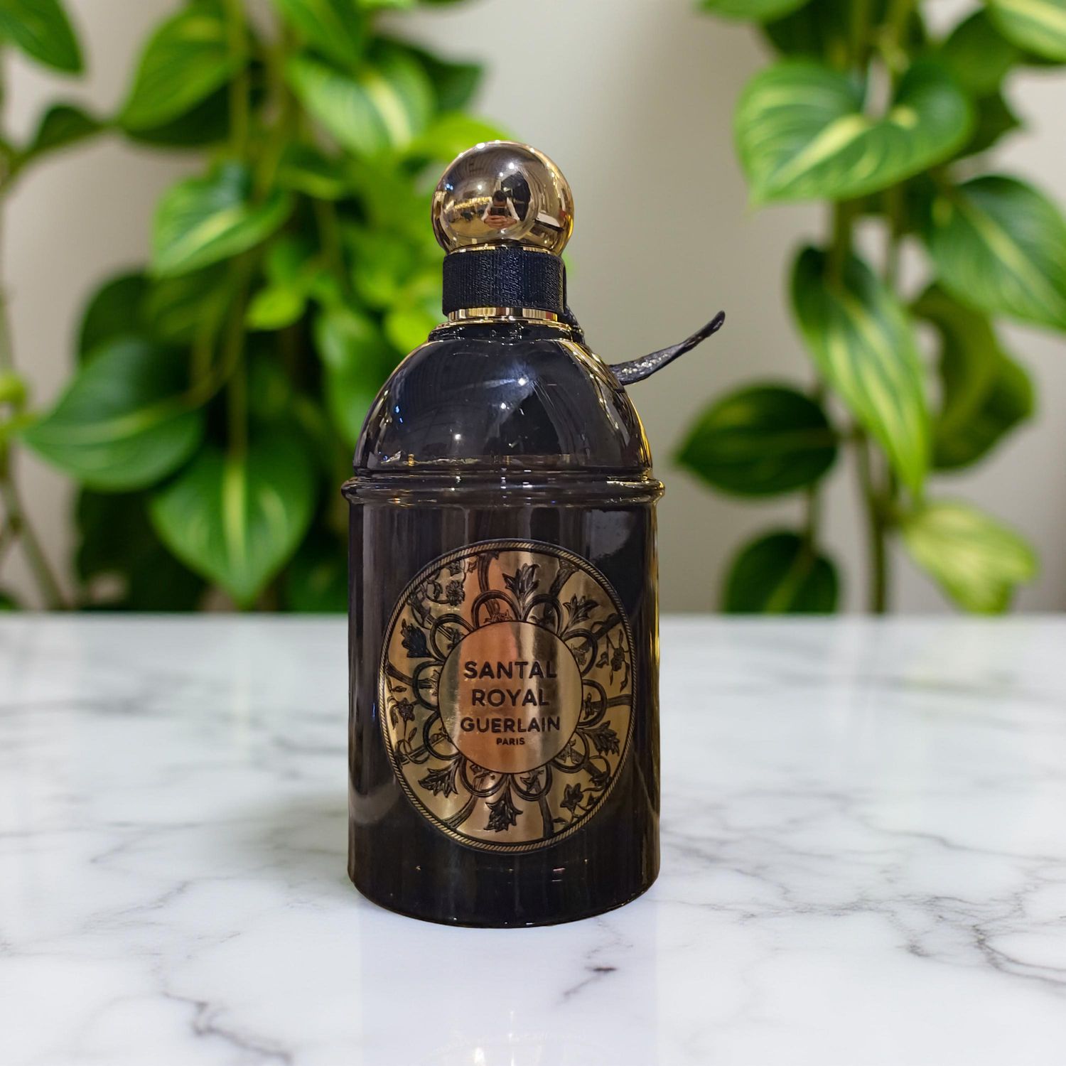 GUERLAIN SANTAL ROYAL EDP PERFUME 125ML P 31