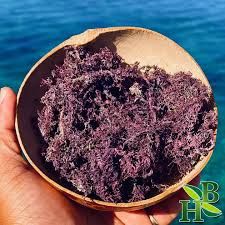 ORGANIC PURPLE SEAMOSS  (WILD)
