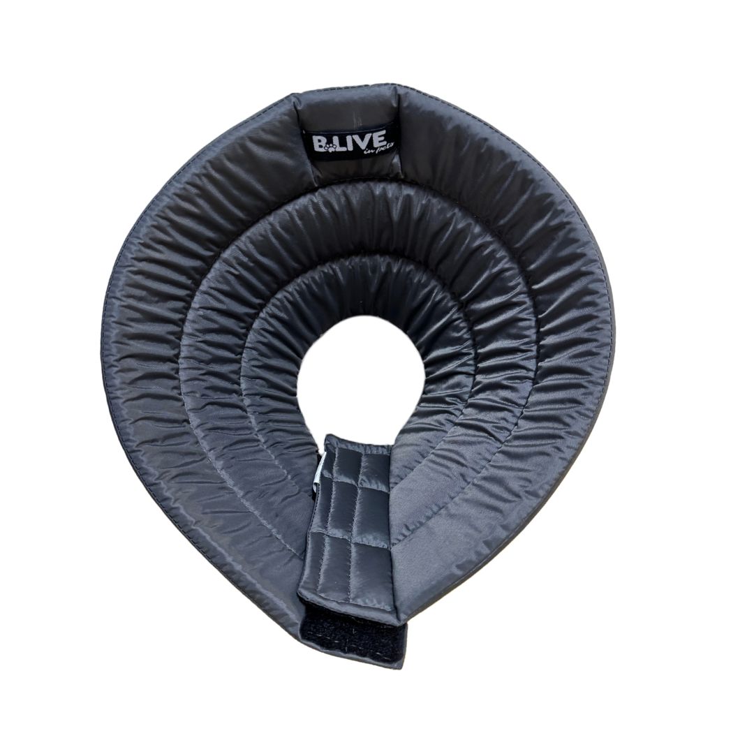 Waterproof Elizabethan Collar - Gray