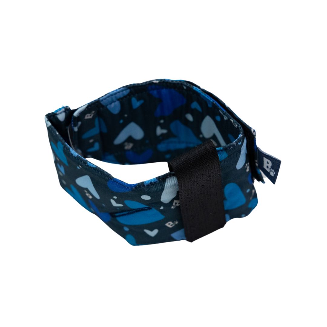 Lucky Esophageal Tube - Blue with Hearts