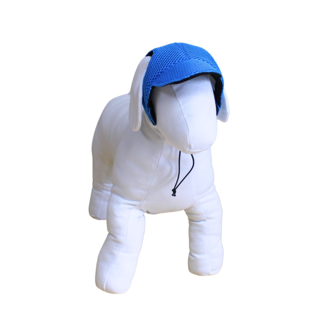 Double-Sided Pet Cap - Blue