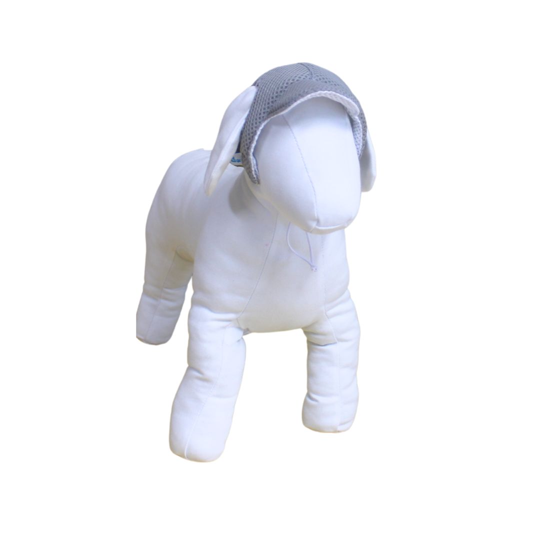 Double-Sided Pet Cap - Mixed