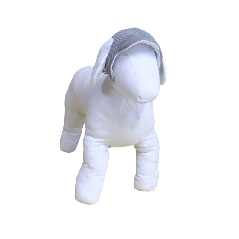 Double-Sided Pet Cap - Mixed