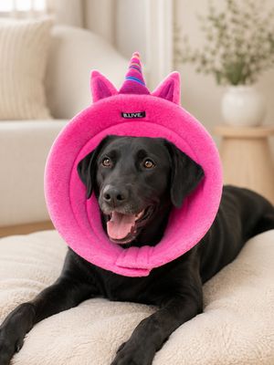 Recovery Collars