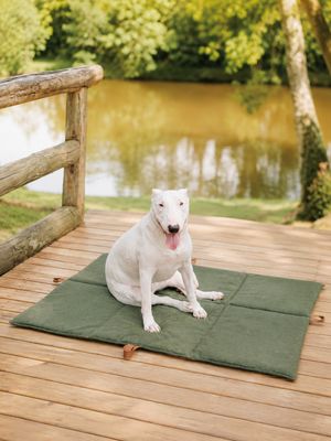 Pet Mats