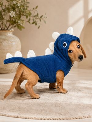 Costumes