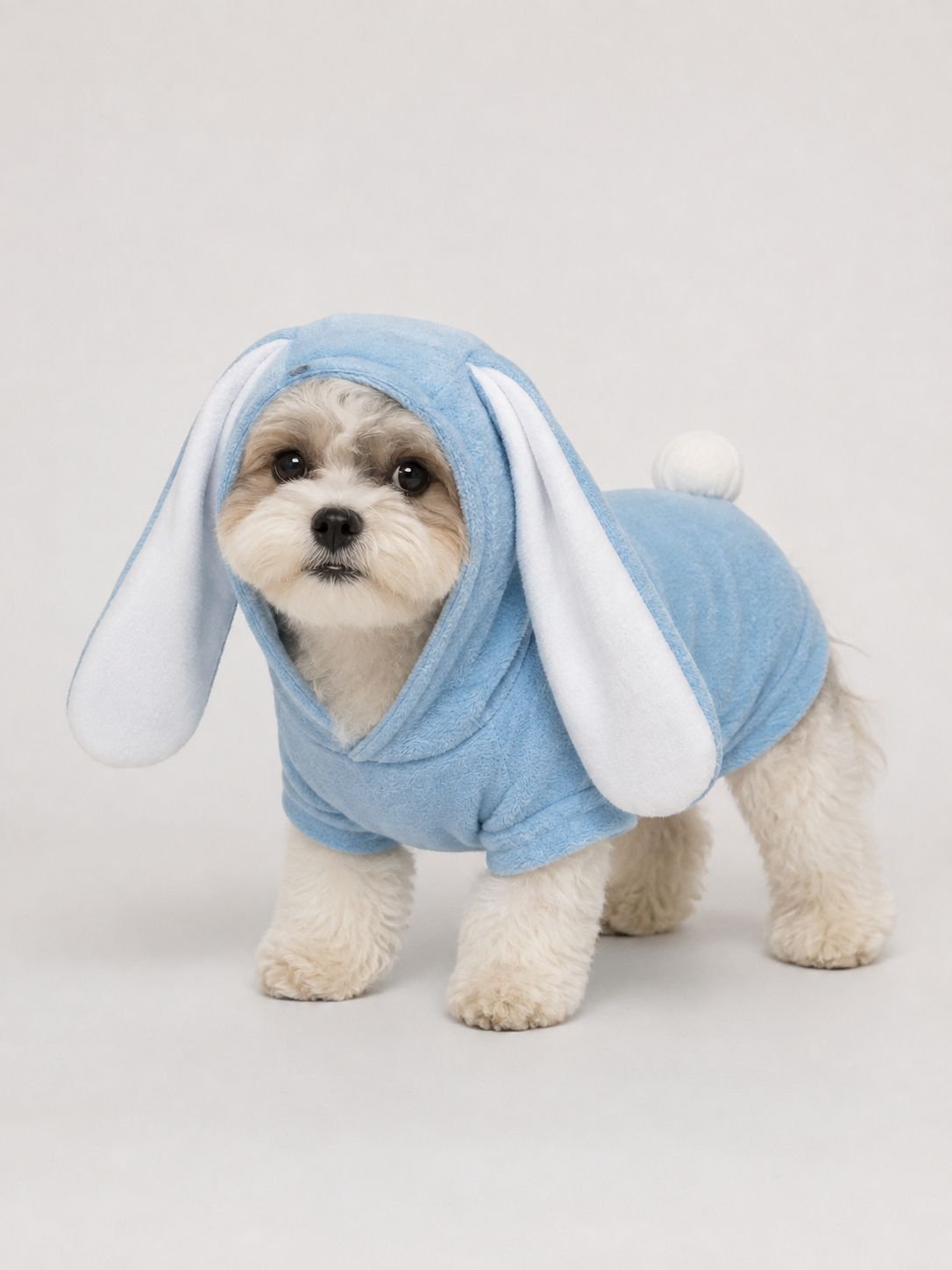 Rabbit Sweatshirt - Blue