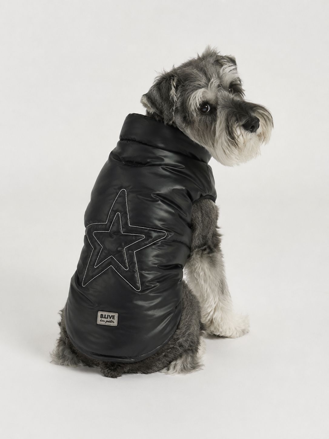 Star Vest - Black