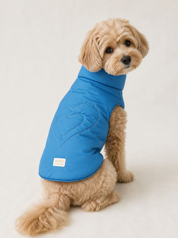 Love Vest - Blue