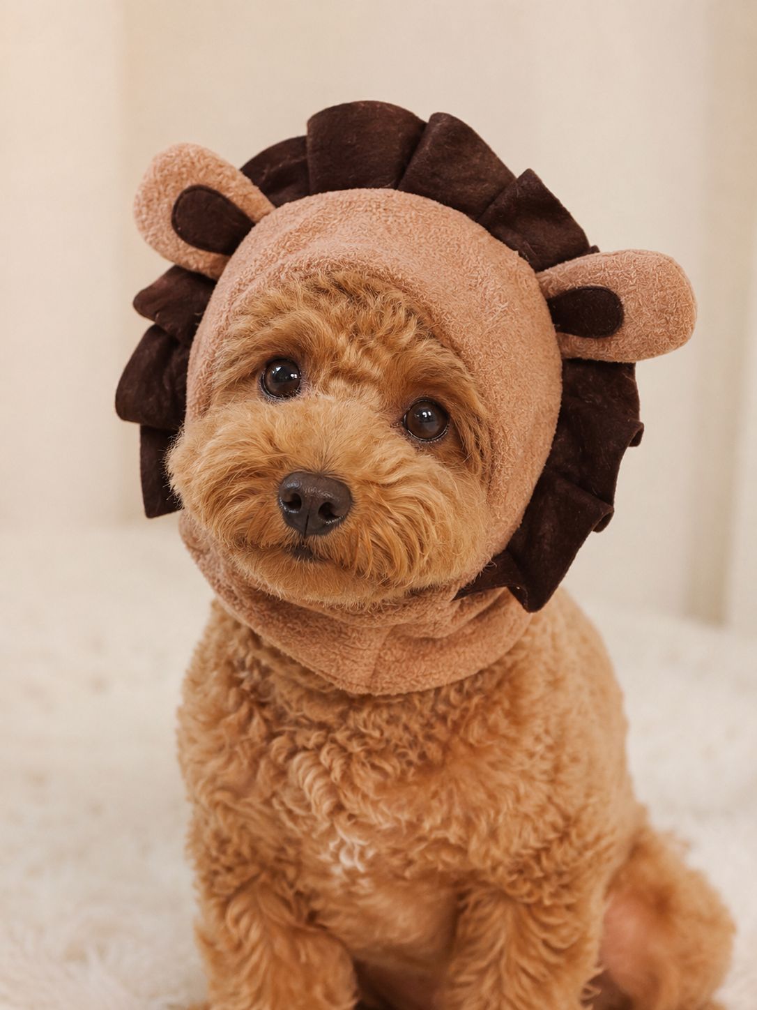 Simba Beanie