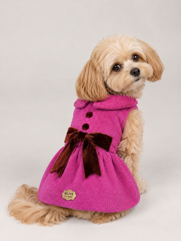 Dress Moscow - Pink