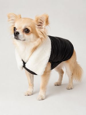 Vest Finland - Black