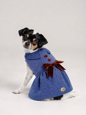 Moscow Blue Dog Dress with Velvet Bow | B.live