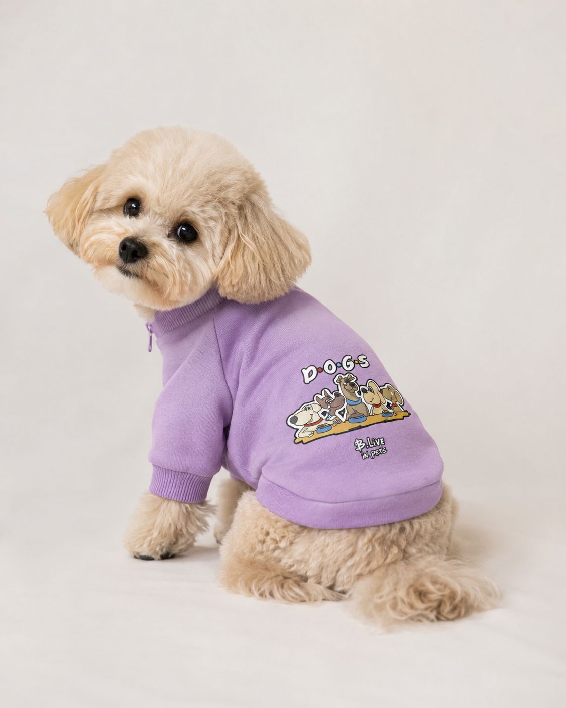 Boulevard Sweatshirt - Lilac