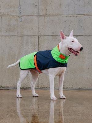 Raincoat - Orange and Green