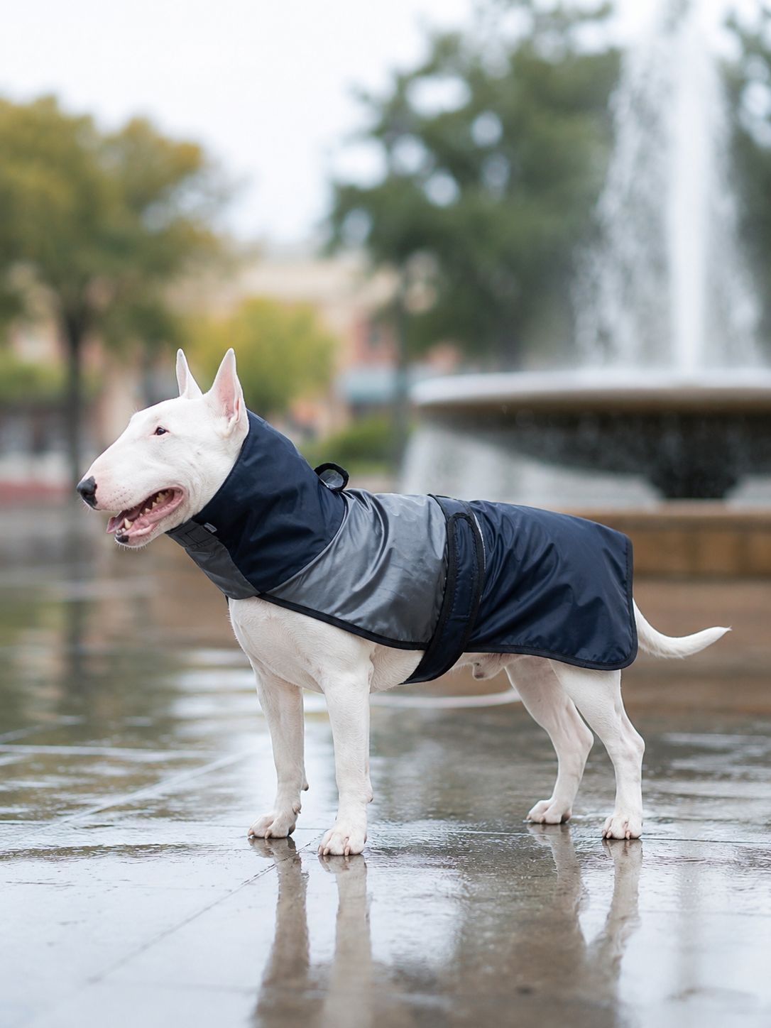 Raincoat - Black