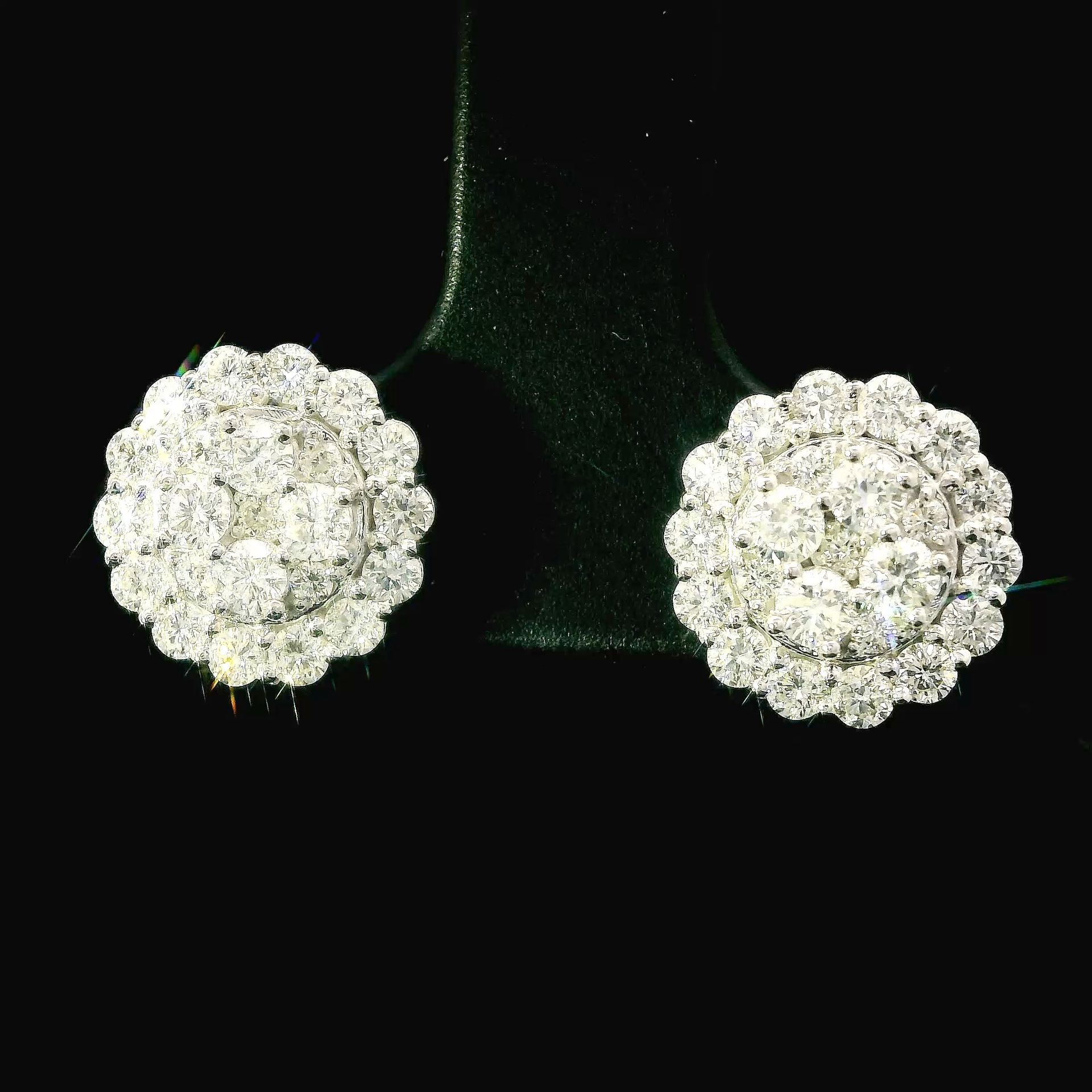 Frost Circle Earrings