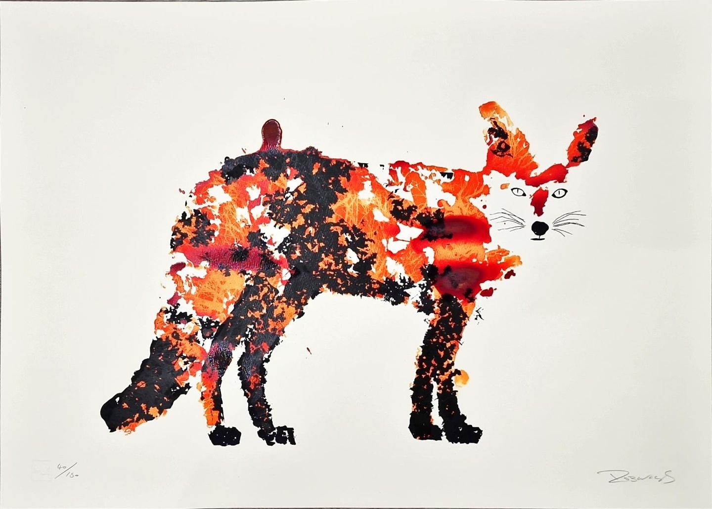 The Fox