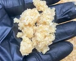 GMO Sherbet Sugar Wax
