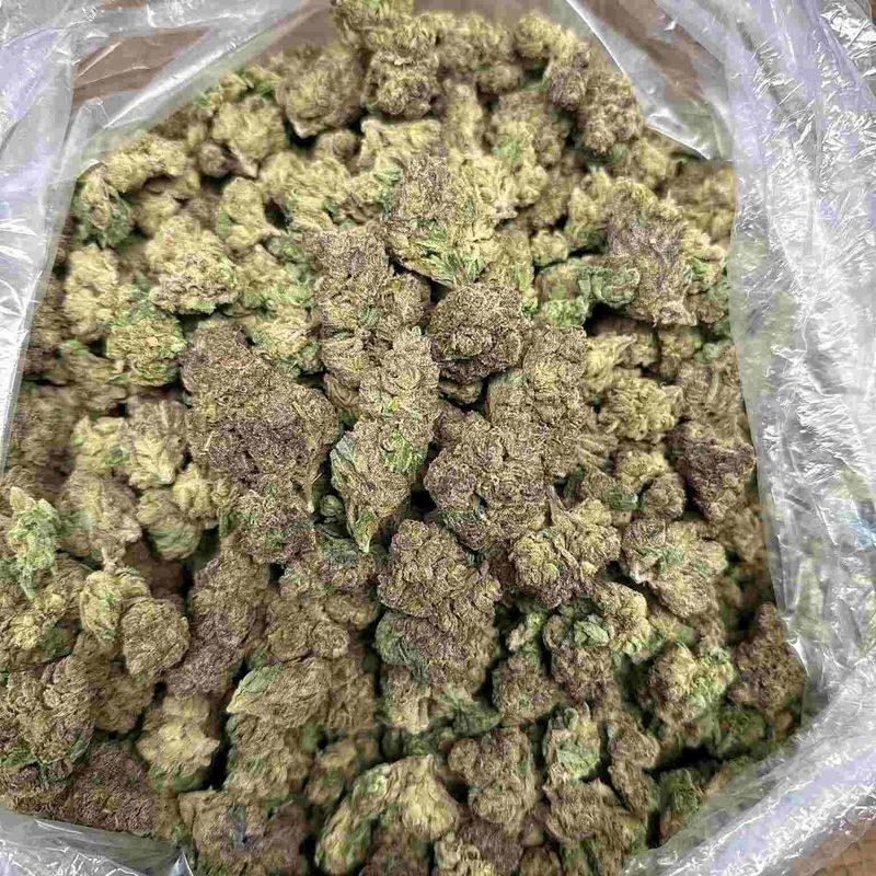 Lemon Cherry Gelato Flower