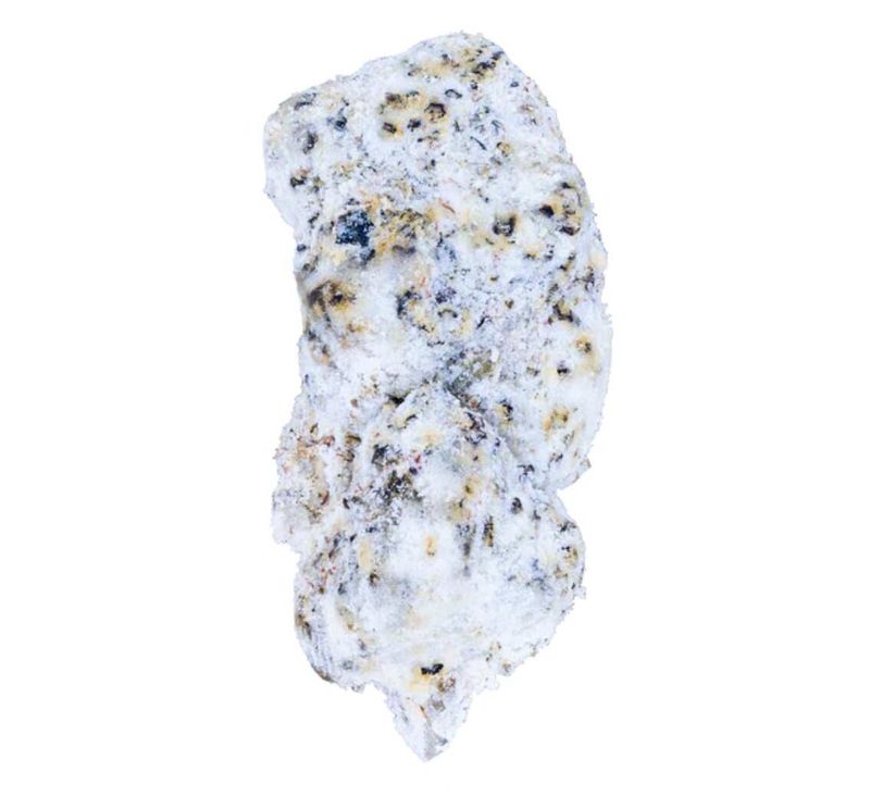 Gelato 45 Snowball Flower