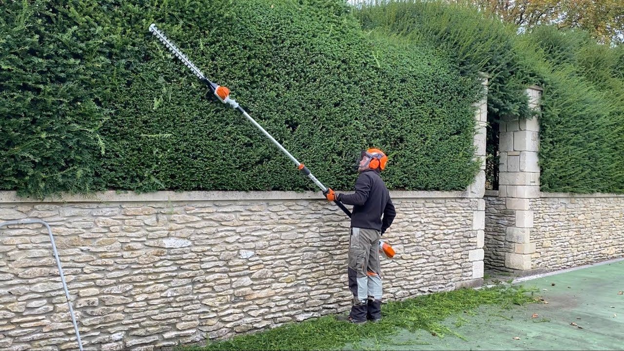 Taille - Coupe haie sur perche