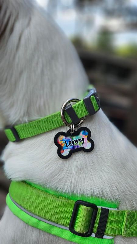 Hundemarke Individuell