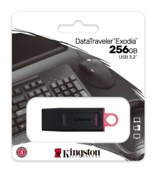 Kingston DTX DataTraveler Exodia 256GB USB 3.2 (Gen 1) Flash Drive (DTX256GB)