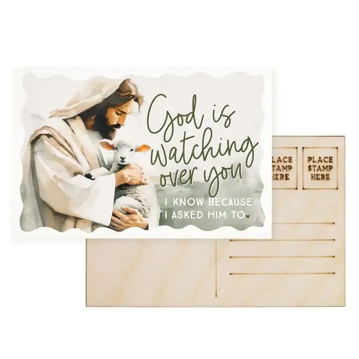 God Watching Lamb Postcard