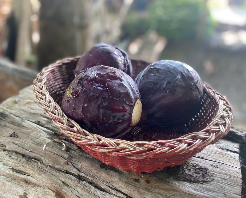 Cavolo cappuccio rosso