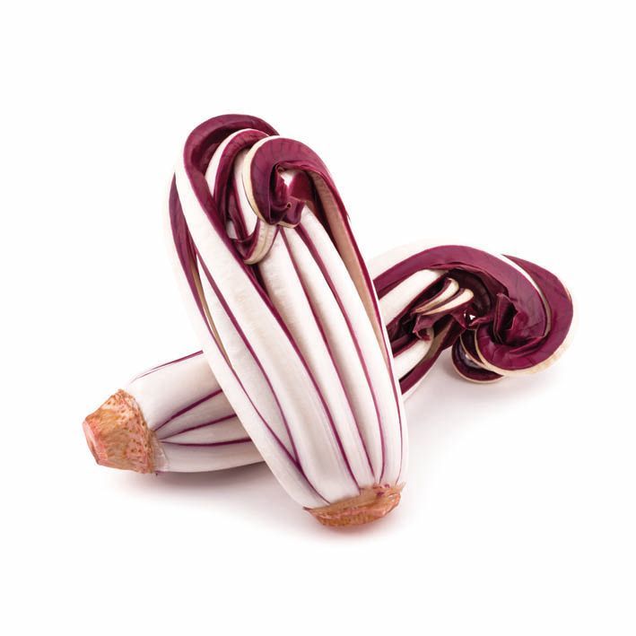 Radicchio tardivo