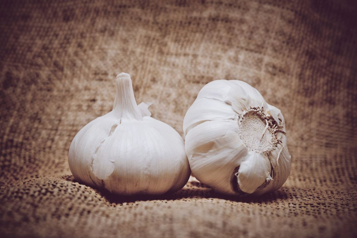 Aglio