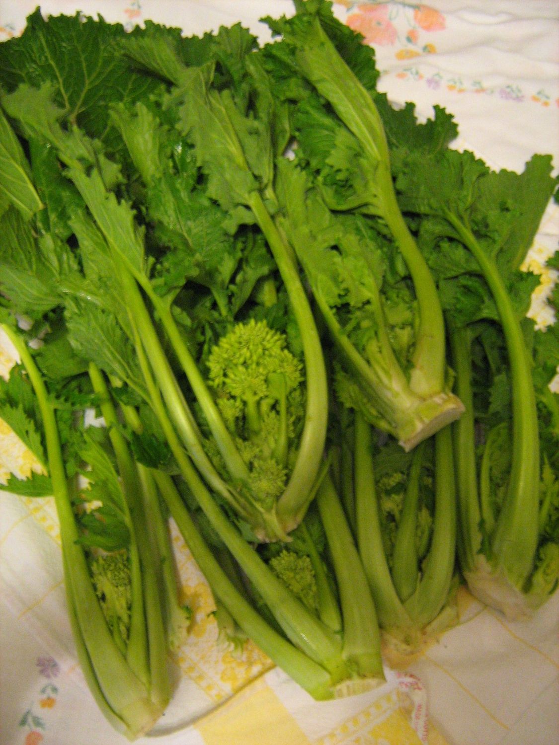 Cime di rapa Cime di rapa