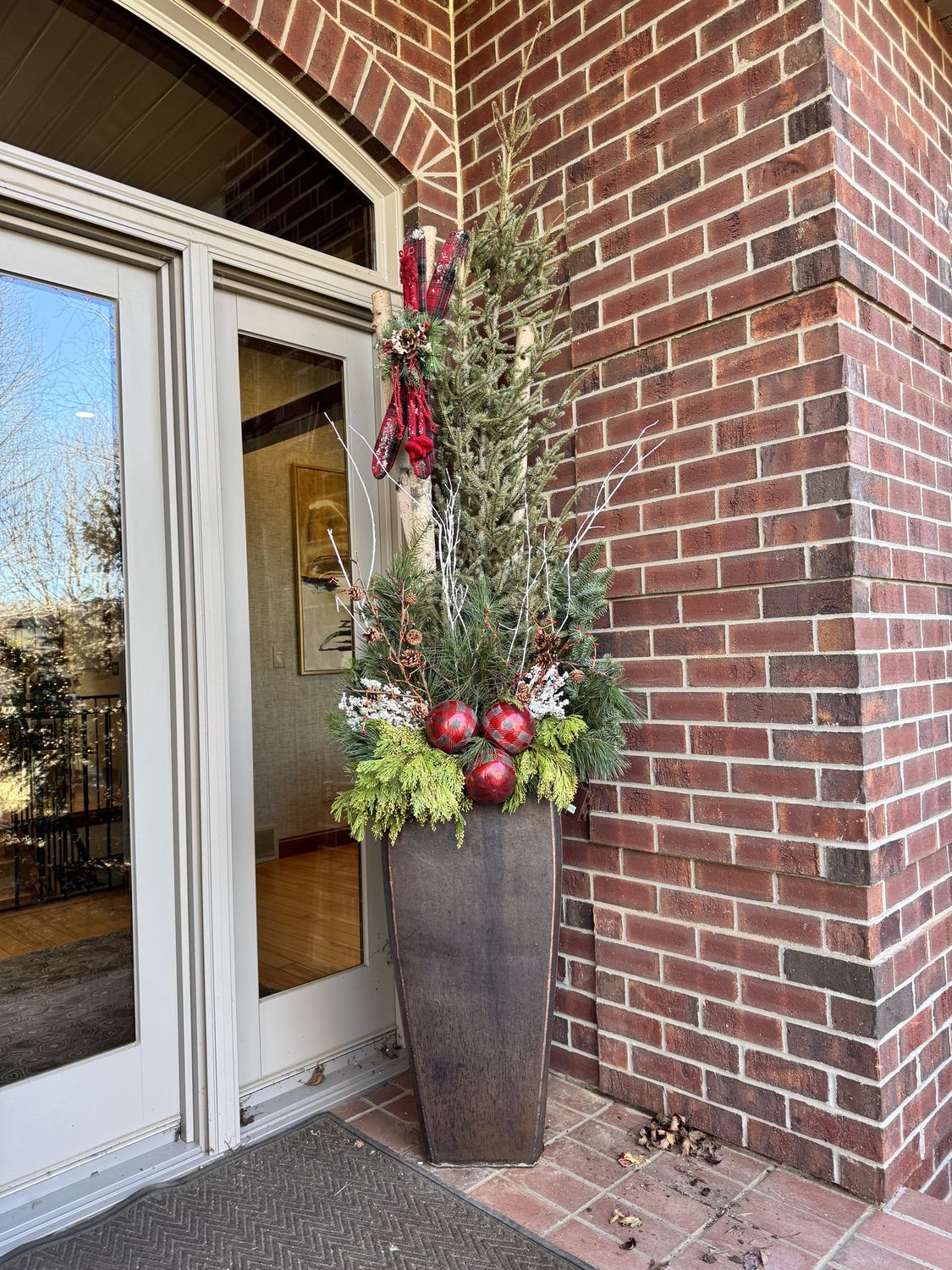 Planter Party Evergreen Bundle-5 lbs