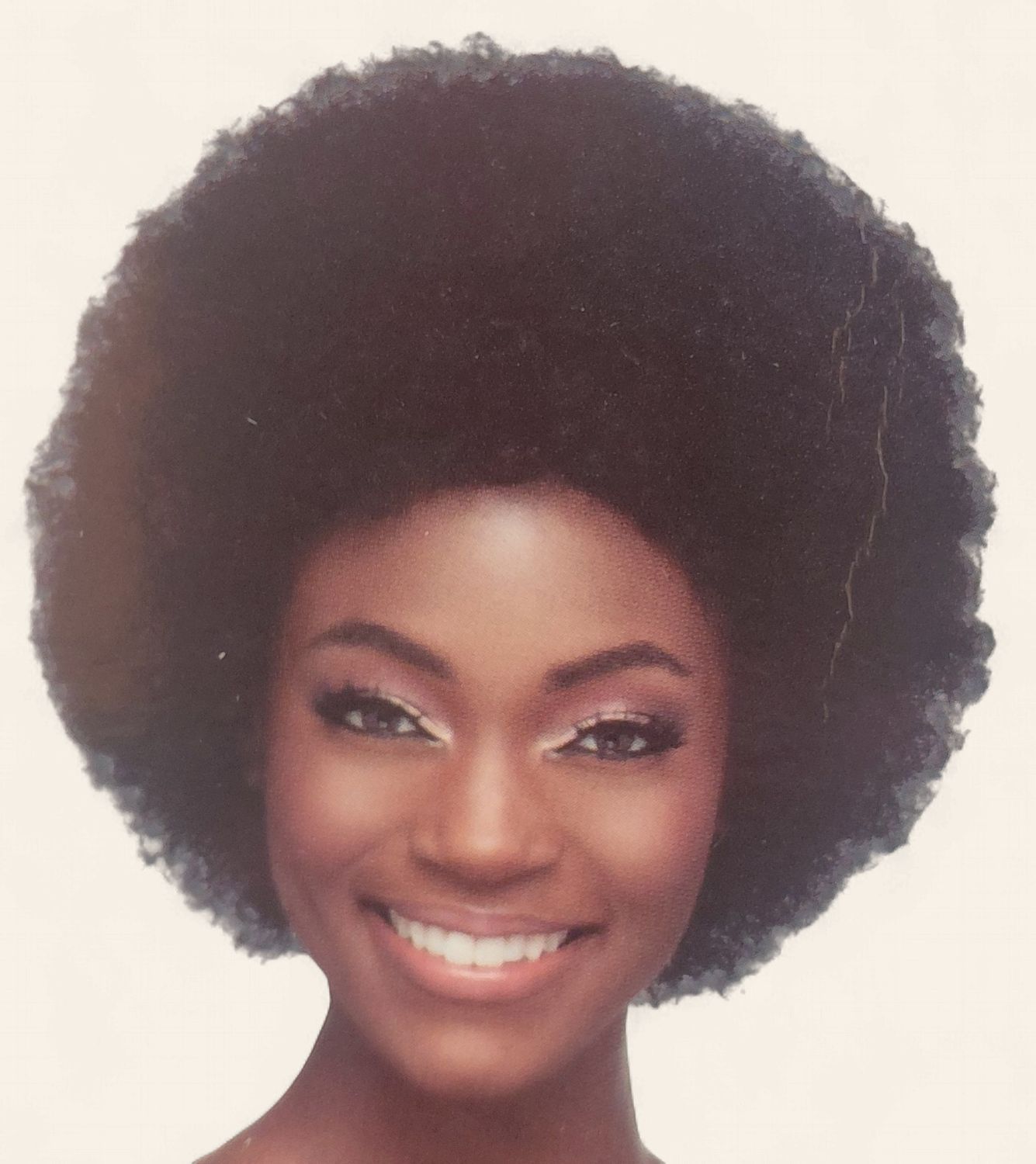 Vivian Fox Wig Afro