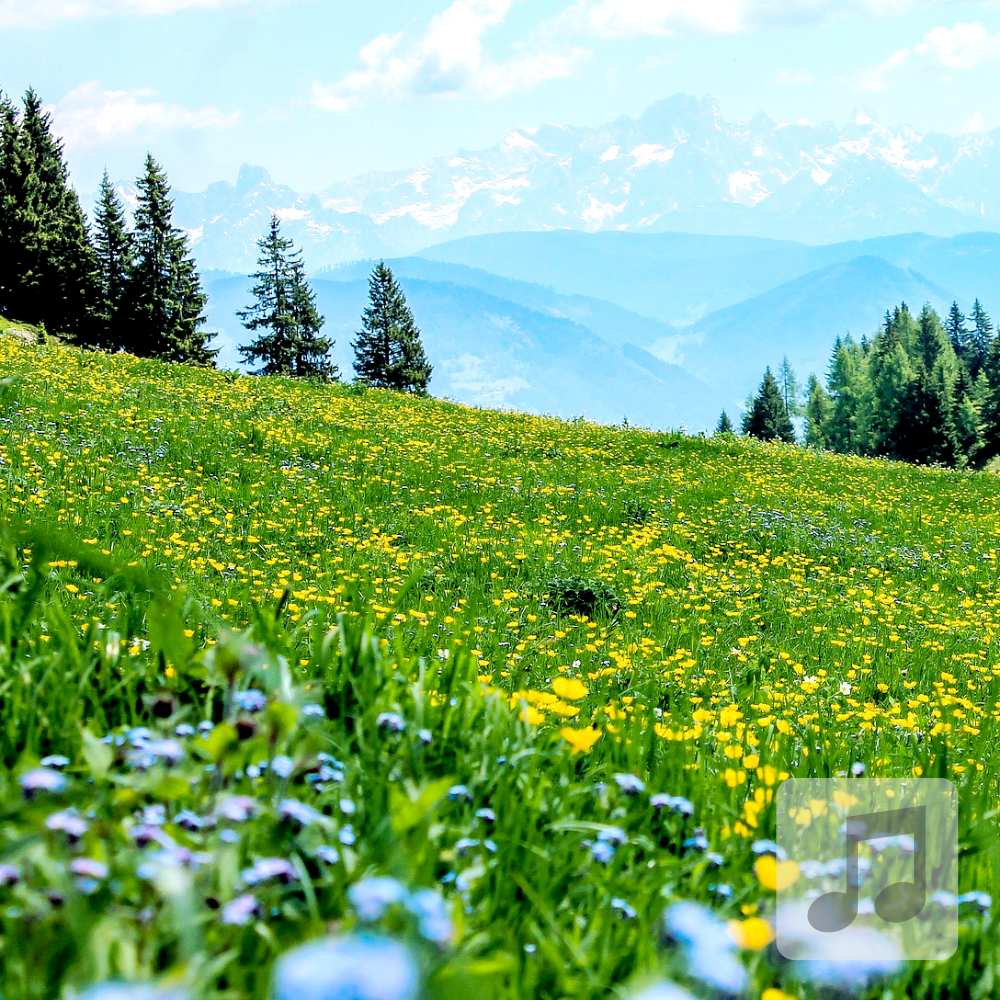20 Blessings | Light, Positive, Calming Music 20 Blessings | Light, Positive, Calming Music