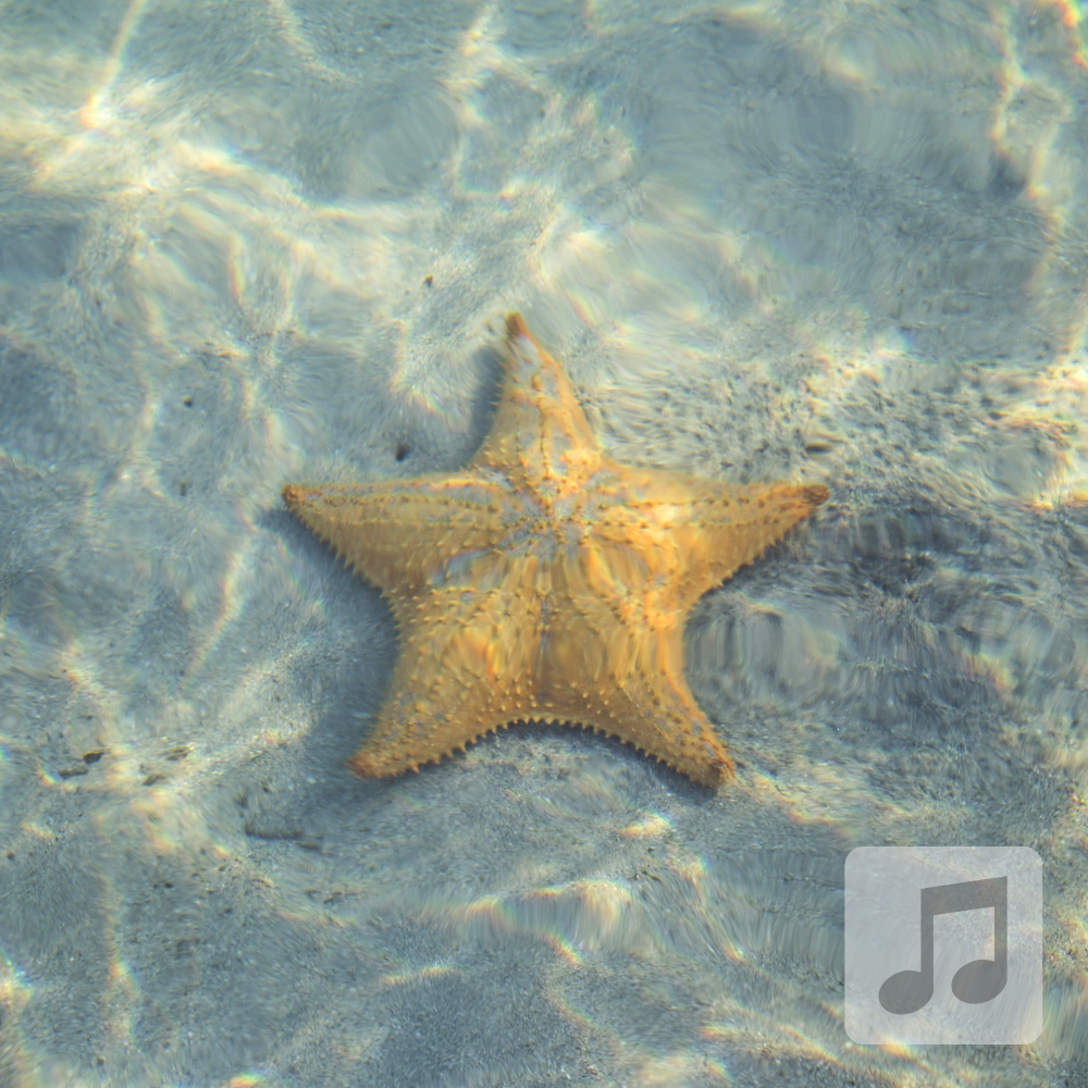 Starfish Relaxation | Delta Wave Binaural Beats Music | Sleep Starfish Relaxation | Delta Wave Binaural Beats Music | Sleep