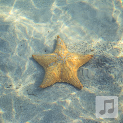Starfish Relaxation | Delta Wave Binaural Beats Music | Sleep