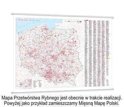 PRZEDSPRZEDAŻ | Mapa Przetwórstwa Rybnego [Mapa ścienna oraz Baza w Excel]