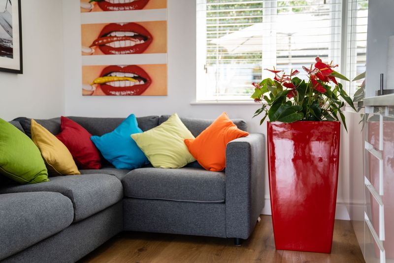 BRANDED PLANTERS AND UNIQUE SHAPES