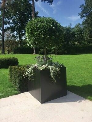 Cube Planter (Gloss Finish)