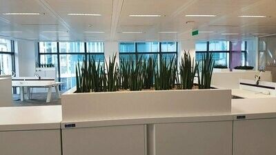 Cabinet Top Planter (Gloss Finish)