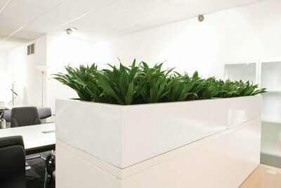 Cabinet Top Planter (Gloss Finish)